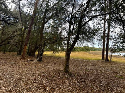 Tiny photo for Forest 02 Road, Umatilla, FL 32784 (MLS # G5109487)