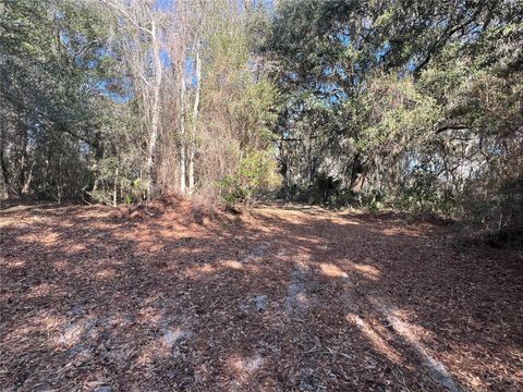 Tiny photo for Forest 02 Road, Umatilla, FL 32784 (MLS # G5109487)