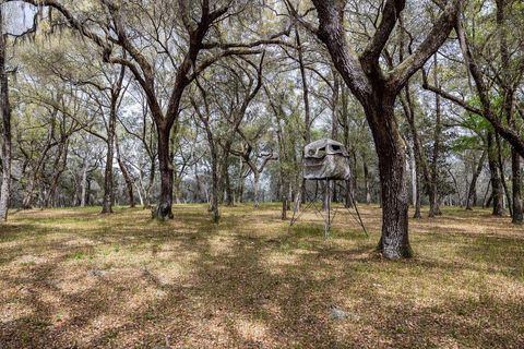 Tiny photo for Forest 02 Road, Umatilla, FL 32784 (MLS # G5109487)