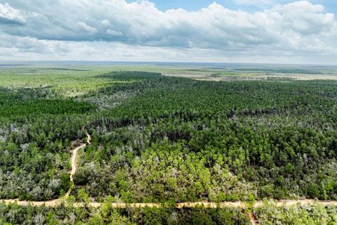 Tiny photo for Forest 02 Road, Umatilla, FL 32784 (MLS # G5109487)