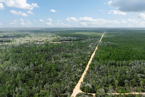 Tiny photo for Forest 02 Road, Umatilla, FL 32784 (MLS # G5109487)