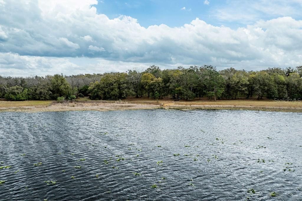 Photo of Forest 02 Road, Umatilla, FL 32784 (MLS # G5109487)