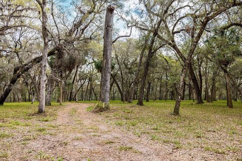 Tiny photo for Forest 02 Road, Umatilla, FL 32784 (MLS # G5109487)