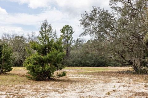 Tiny photo for Forest 02 Road, Umatilla, FL 32784 (MLS # G5109487)