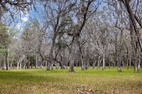 Tiny photo for Forest 02 Road, Umatilla, FL 32784 (MLS # G5109487)