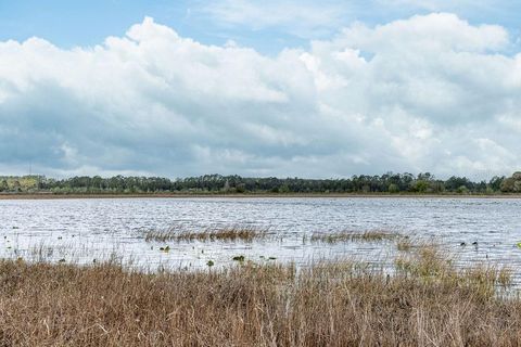 Tiny photo for Forest 02 Road, Umatilla, FL 32784 (MLS # G5109487)