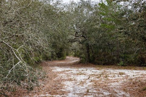 Tiny photo for Forest 02 Road, Umatilla, FL 32784 (MLS # G5109487)