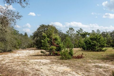 Tiny photo for Forest 02 Road, Umatilla, FL 32784 (MLS # G5109487)