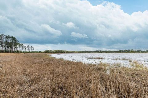 Tiny photo for Forest 02 Road, Umatilla, FL 32784 (MLS # G5109487)