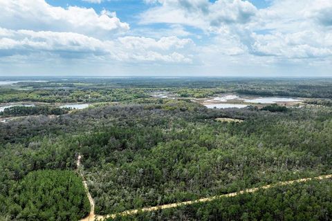 Tiny photo for Forest 02 Road, Umatilla, FL 32784 (MLS # G5109487)