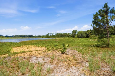 Tiny photo for 0 Forest 02, #2, SE 150th Street, Umatilla, FL 32784 (MLS # G5109487)