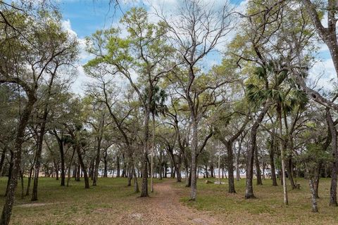 Tiny photo for Forest 02 Road, Umatilla, FL 32784 (MLS # G5109487)