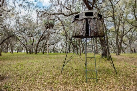 Tiny photo for Forest 02 Road, Umatilla, FL 32784 (MLS # G5109487)