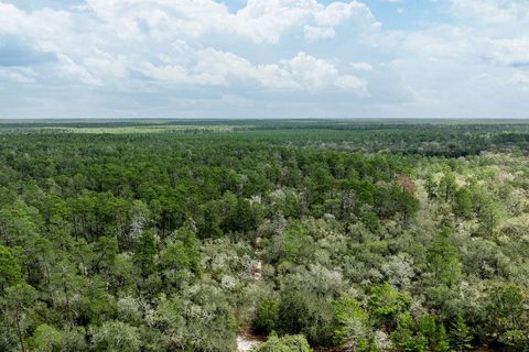 Tiny photo for Forest 02 Road, Umatilla, FL 32784 (MLS # G5109487)