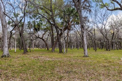Tiny photo for Forest 02 Road, Umatilla, FL 32784 (MLS # G5109487)