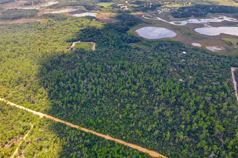 Tiny photo for 0 Forest 02, #2, SE 150th Street, Umatilla, FL 32784 (MLS # G5109487)
