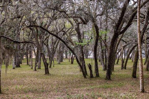 Tiny photo for Forest 02 Road, Umatilla, FL 32784 (MLS # G5109487)