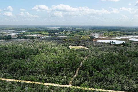 Tiny photo for Forest 02 Road, Umatilla, FL 32784 (MLS # G5109487)