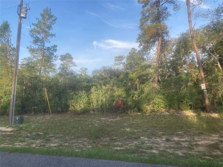 The first step in building your home is getting this oversized lot. Nice high and dry lot in a nice community that is still growing. Make that dream a reality!