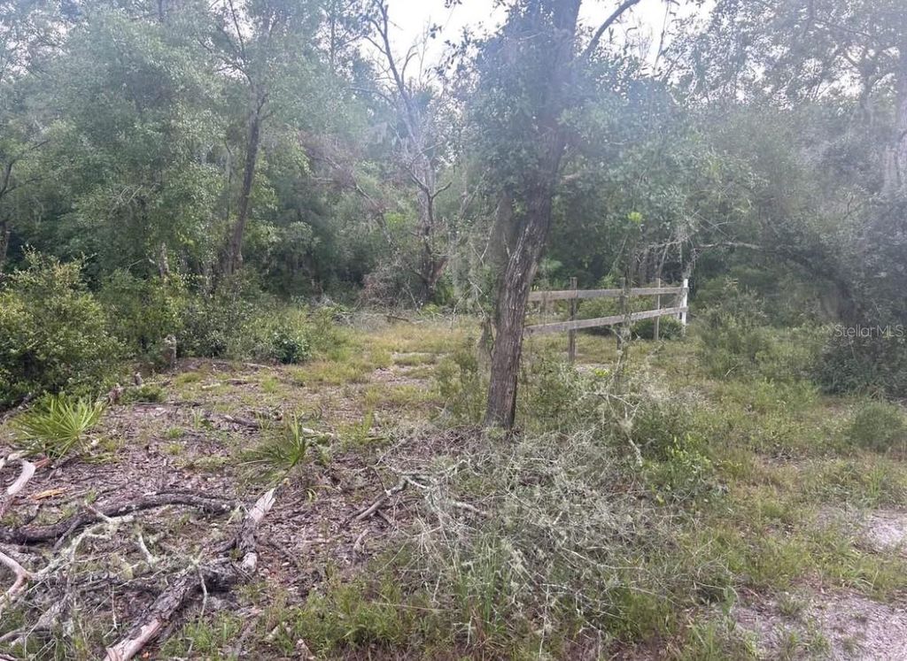 Photo of 00 SW 158th Lane, Dunnellon, FL 34432 (MLS # G5101414)