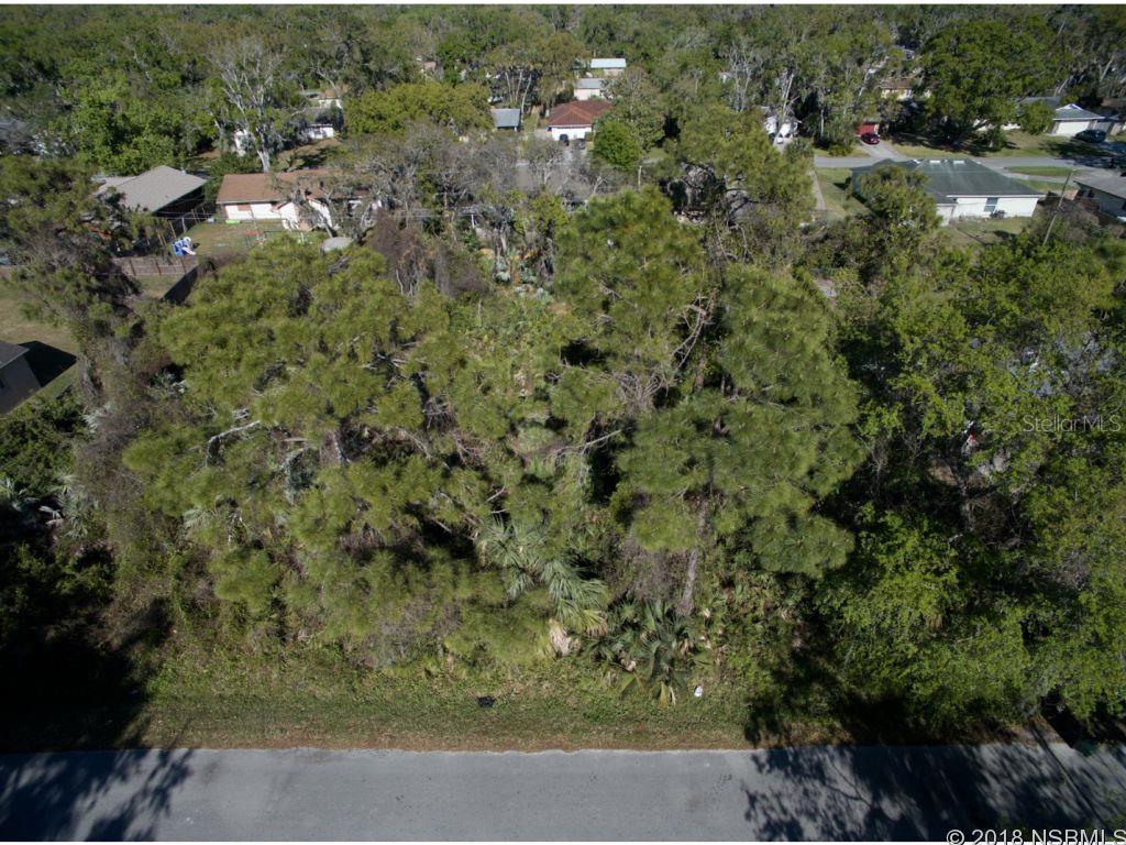 Florida Shores 01 - Land