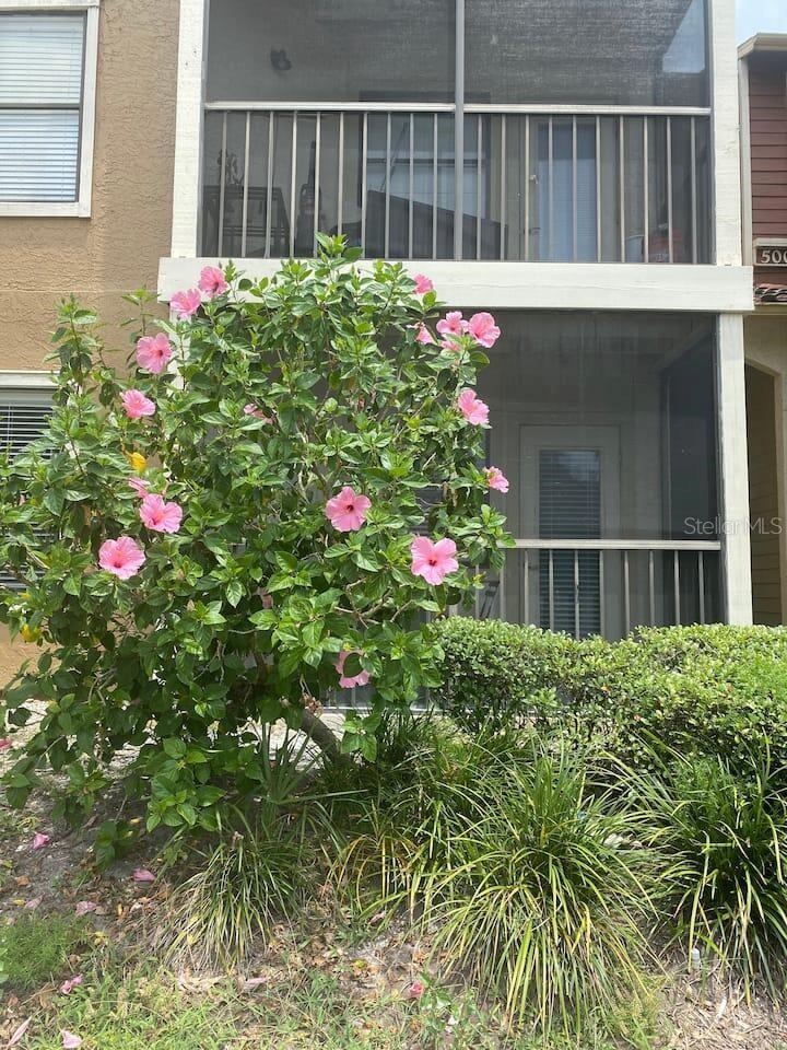 Welcome to paradise! A beautifully maintained gated condominium located minutes from all that Tampa bay has. Condo is furnished move in ready with renovated modern shower and new air conditioner. This inviting home boasts a spacious layout with modern finishes and plenty of natural light. A small foyer space welcomes you when you step inside. Breakfast bar at the kitchen is the great spot to keep the chef entertained while cooking up something delicious. Granite countertops and cabinets extend all the way to the ceiling maximizing storage. Prep space and a dishwasher make cooking and cleaning pleasant. Open living room plan creates a beautiful living and dining space. The spacious bedroom holds a queen-sized bedroom suite. The bathroom layout includes an open vanity area and updated modern glass door shower. Enjoy relaxing in the comfortable living area or step out to the private screened in balcony for some fresh air. AMENITIES: Bay pointe Preserve has its residents a heated lap pool and spa, indoor fitness facility, clubhouse, outdoor grilling areas, car wash station (located close to unit), all spread across the 13 acre preserve with a pond.