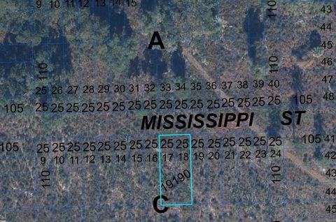 000 MISSISSIPPI STREET HAWTHORNE FL 32640