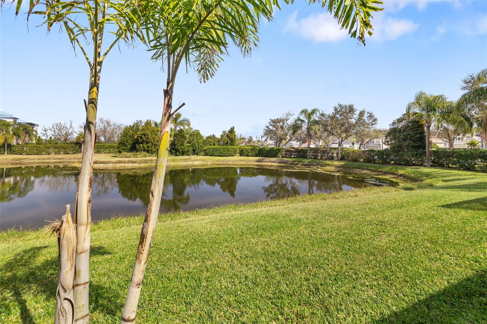 12019 SAWGRASS LAKE TERRACE