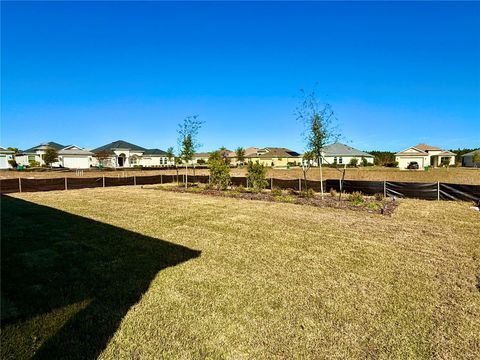 A home in MOUNT DORA