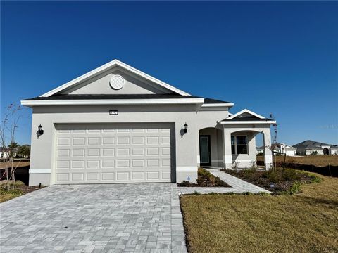 A home in MOUNT DORA