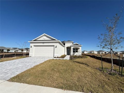 A home in MOUNT DORA