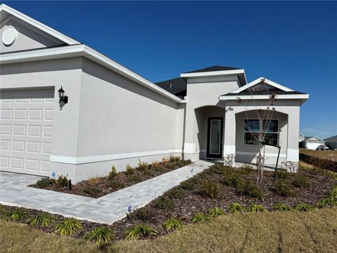 A home in MOUNT DORA