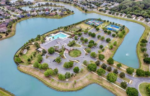 A home in MOUNT DORA