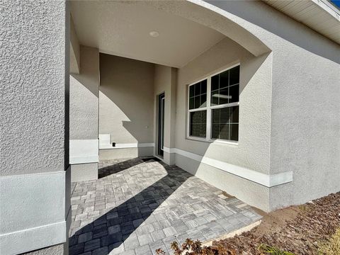 A home in MOUNT DORA