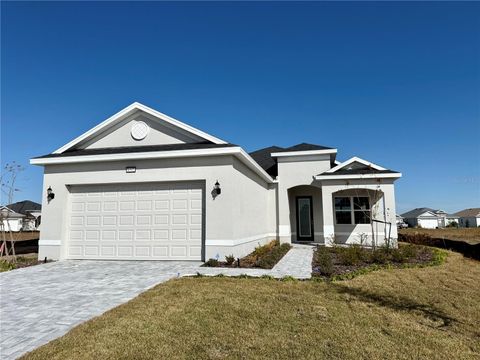 A home in MOUNT DORA