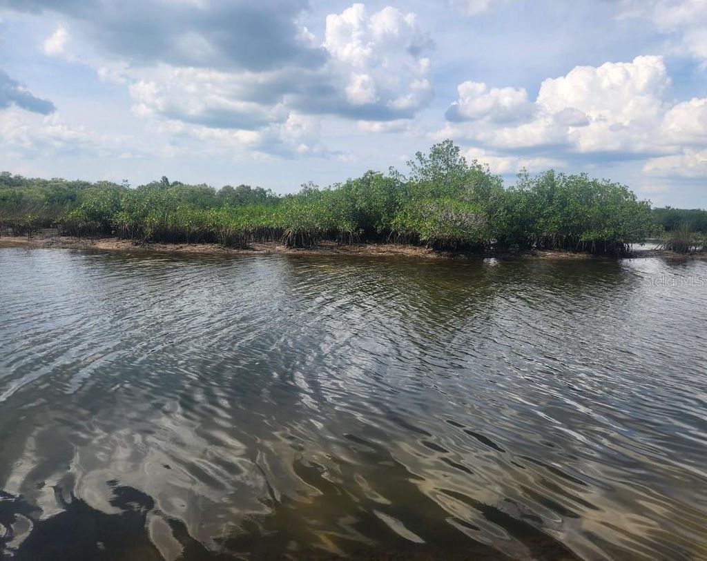 Photo of 6733 Driftwood Drive, Hudson, FL 34667 (MLS # O6405312)