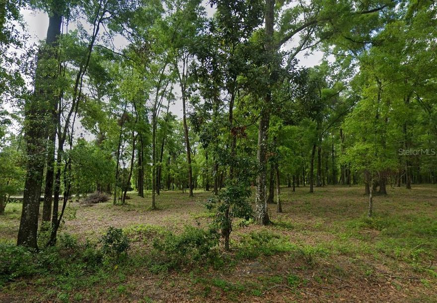 ***ENTIRELY Upland*** Beautiful 4-acre vacant land with flexible Agricultural zoning just 0.5 mile from the Santa Fe River and 0.7 mile from Gilchrist County Park. Build a mobile home, site-built home, or Single Family Residential. Two-side Road access makes this property easy to develop. Call now before it's gone!

PROPERTY HIGHLIGHTS:
• 4 acres of flat, usable land
• Zoned Agricultural – flexible for homesteading or investment
• Permitted for mobile homes, site-built homes, and single-family residences
• Two-sided road access for easy entry and development

LOCATION ADVANTAGES:
• 0.5 mile to the Santa Fe River
• 0.7 mile to Gilchrist County Santa Fe River Park (swimming, kayaking, and nature trails)
• Under 45 minutes to Gainesville
• Outdoor paradise with springs, forests, and state parks nearby

GPS Coordinates:  29.87189581, -82.73757974
  Enter these coordinates into Google Maps on your phone or your GPS device for accurate directions to the property.