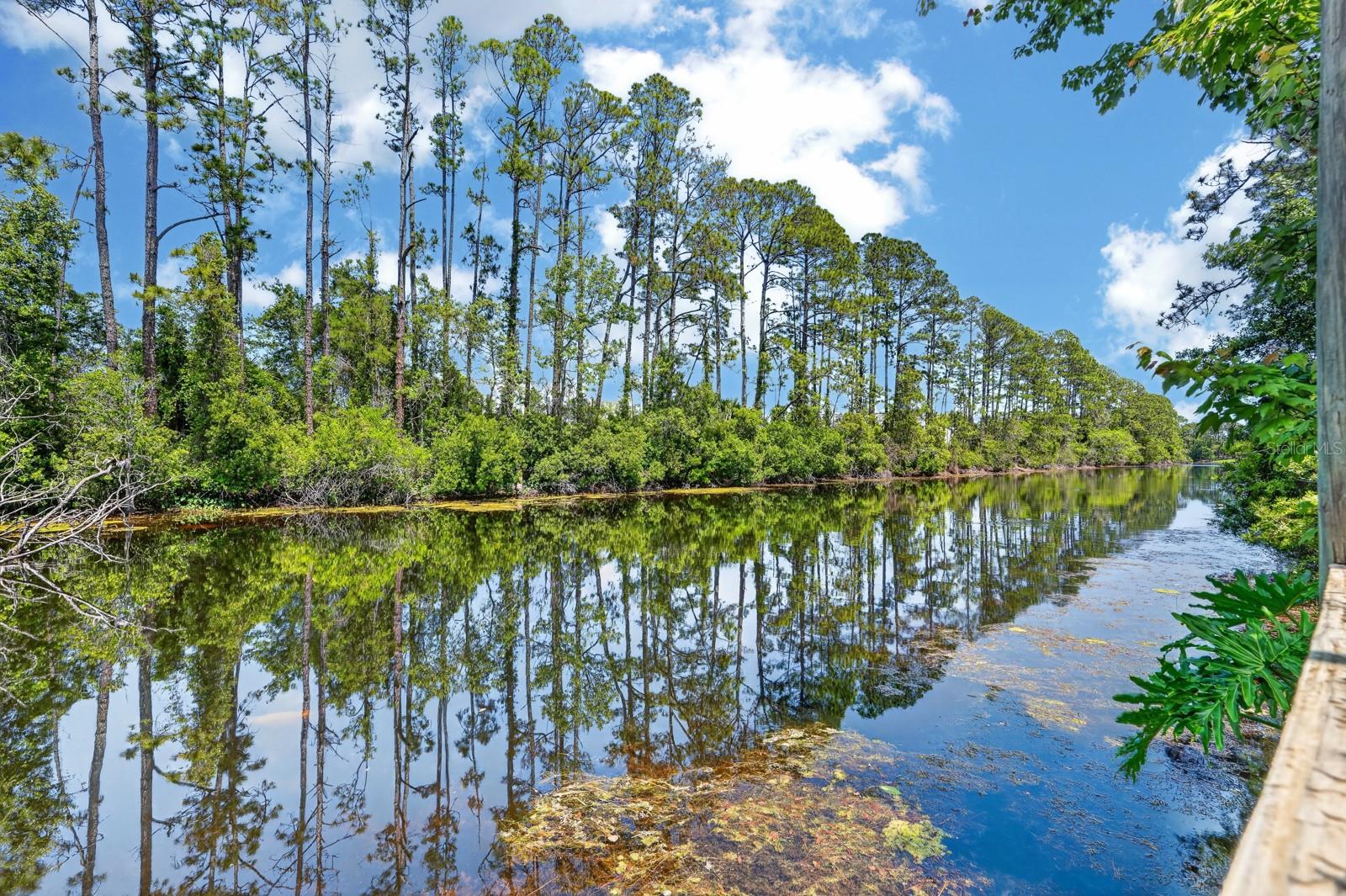 PALM COAST SEC 21 - Residential