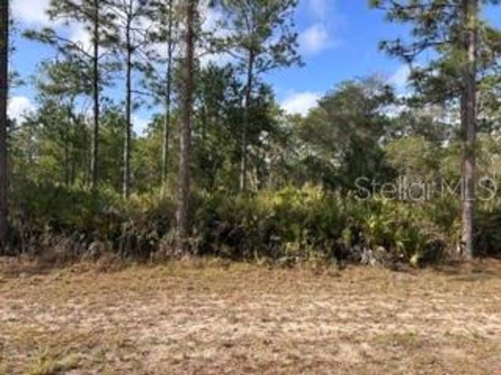 Photo of 63 El Dorado Drive, Indian Lake Estates, FL 33855 (MLS # TB8511300)
