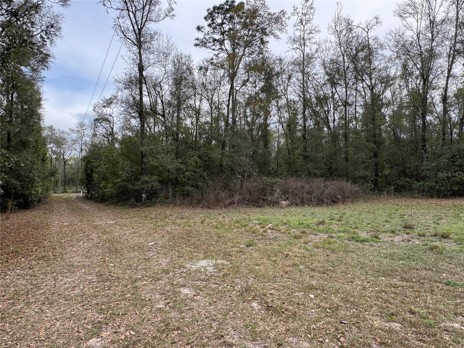 THREE RIVERS ESTATE - Residential