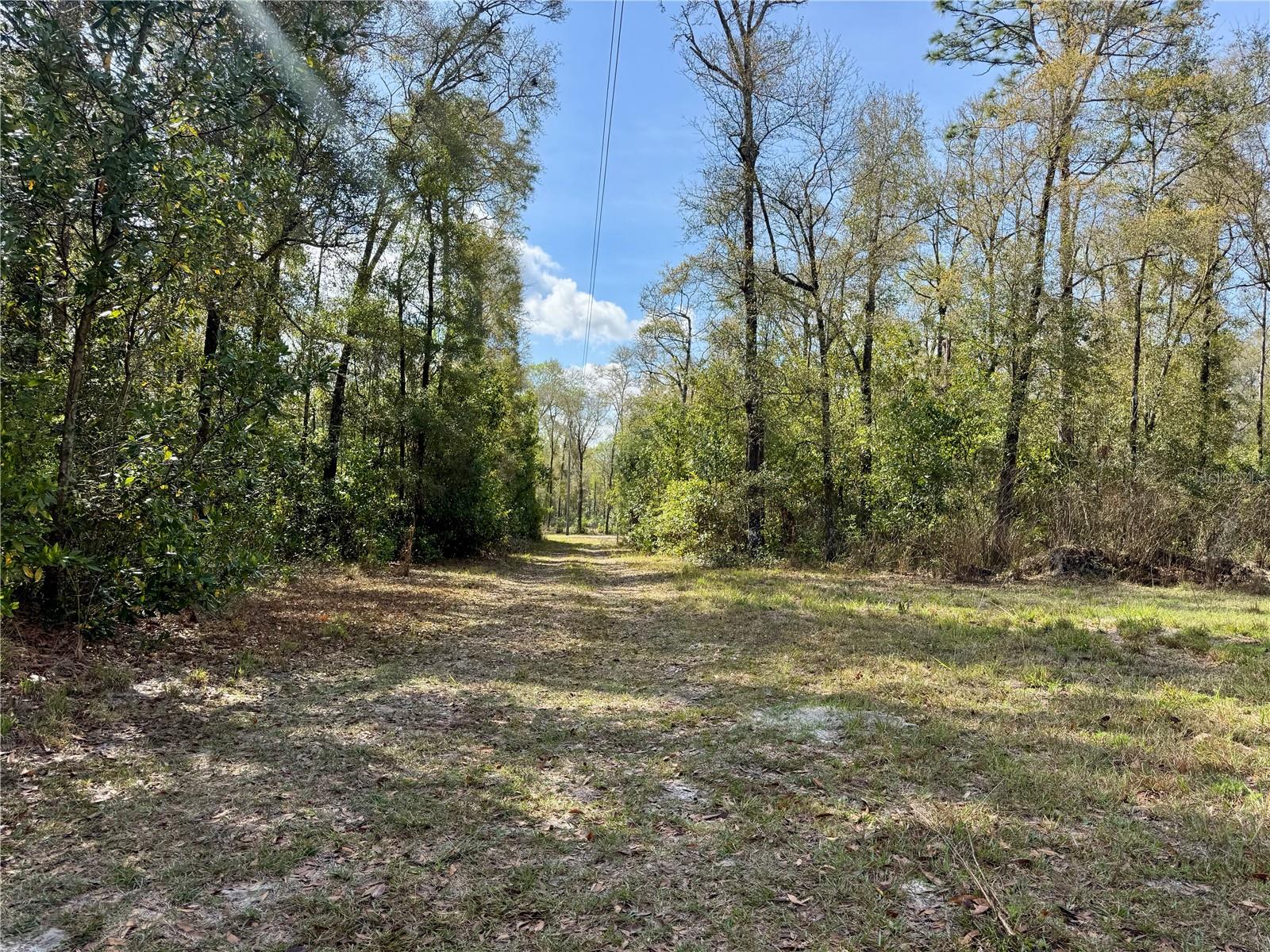 THREE RIVERS ESTATE - Residential