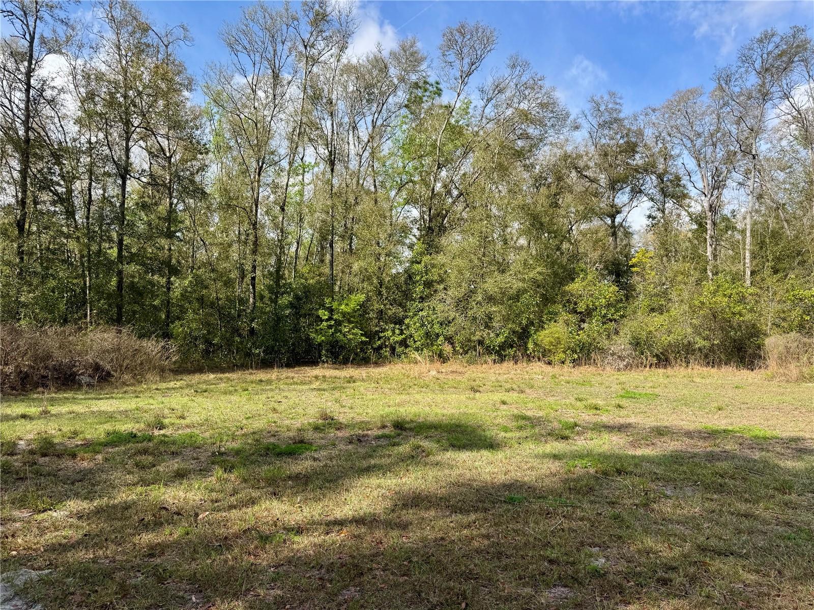 THREE RIVERS ESTATE - Residential