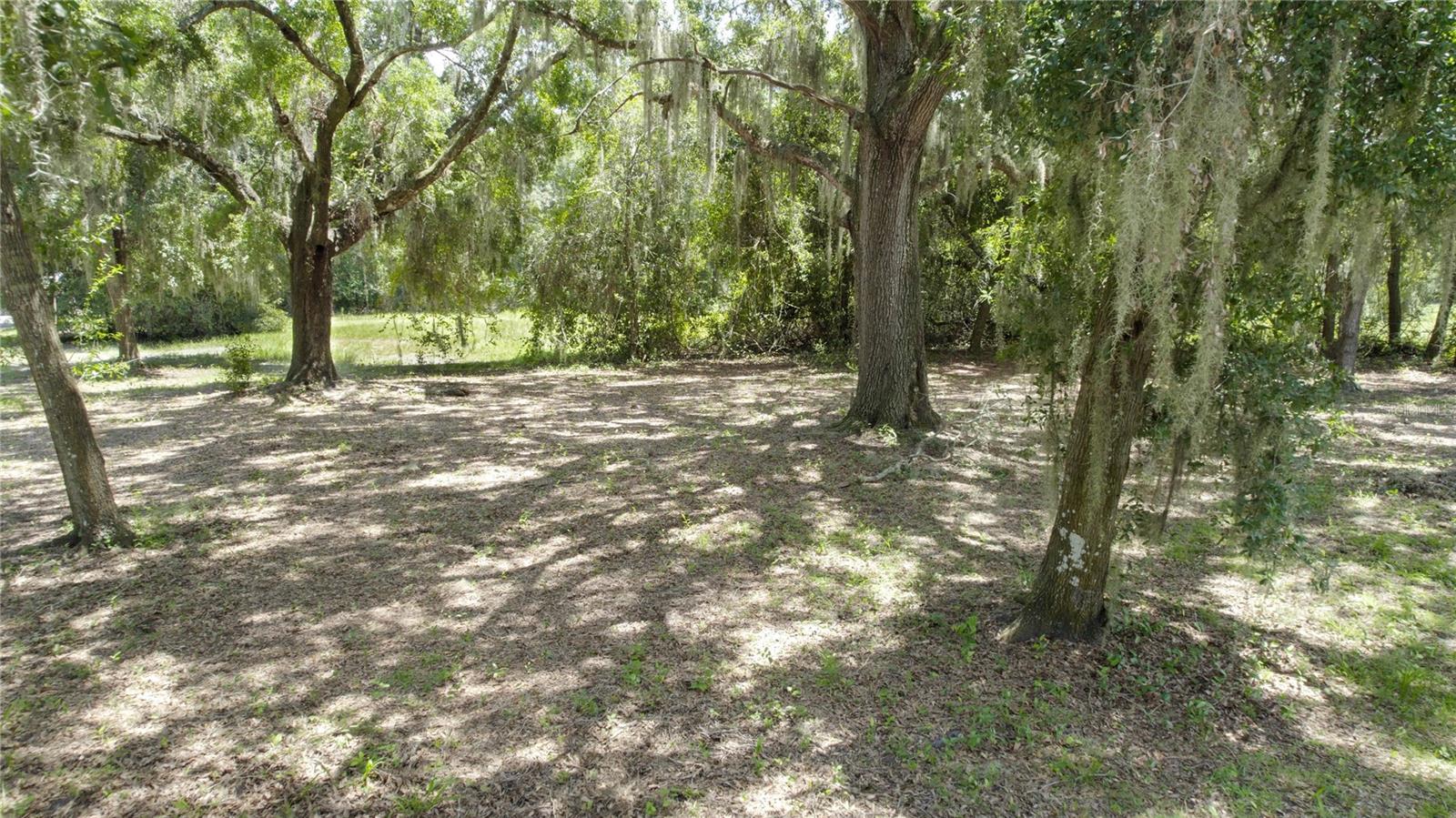 KISSIMMEE PARK - Land