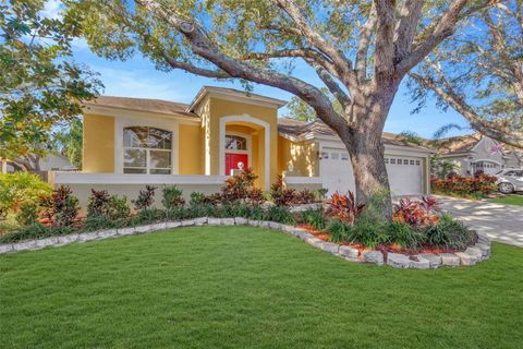 A home in VALRICO