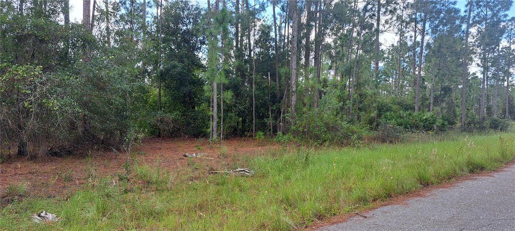 Photo of 3800 E 13th Street, Lehigh Acres, FL 33972 (MLS # C7498485)