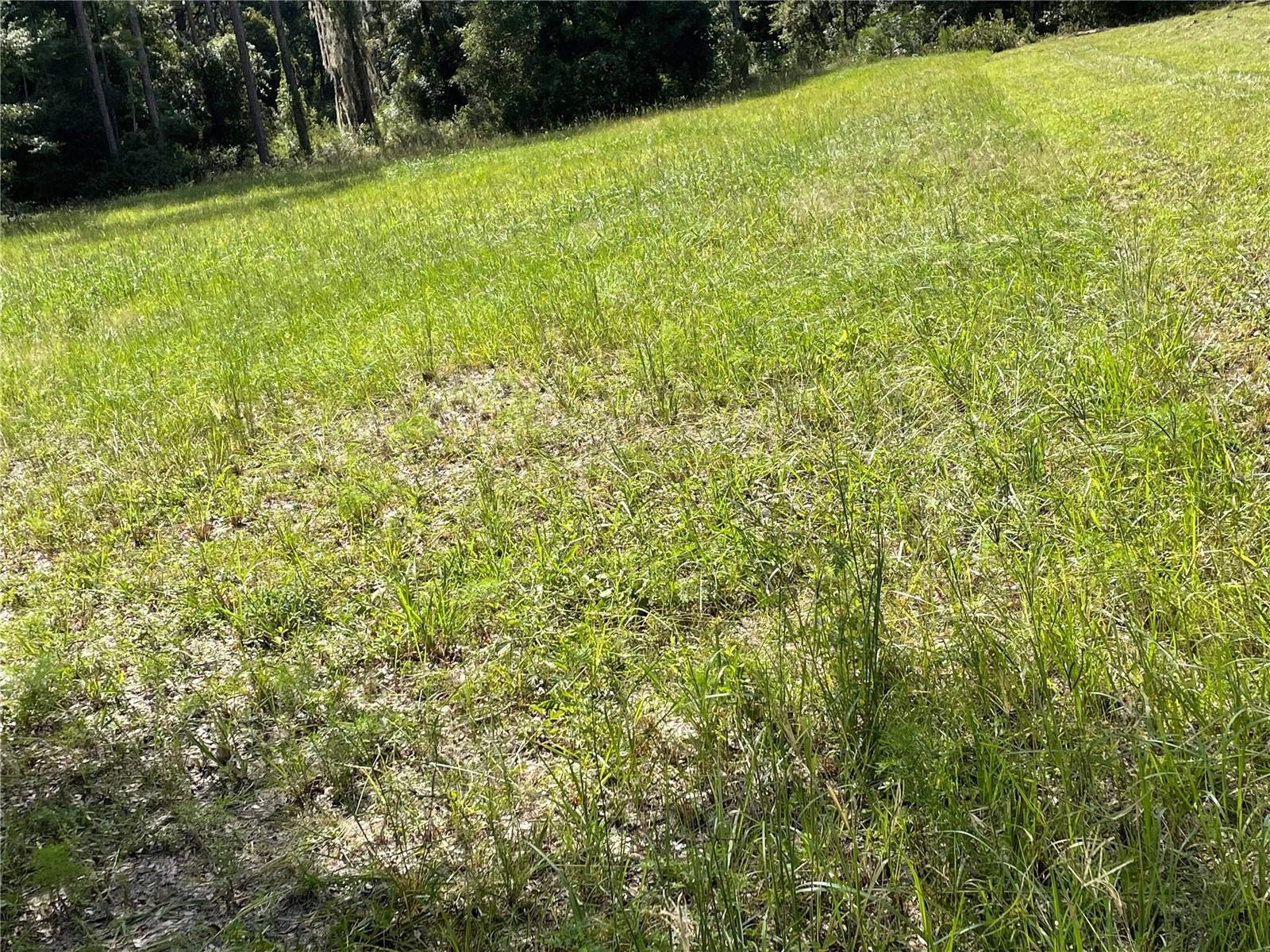 FLORIDA HLNDS - Land