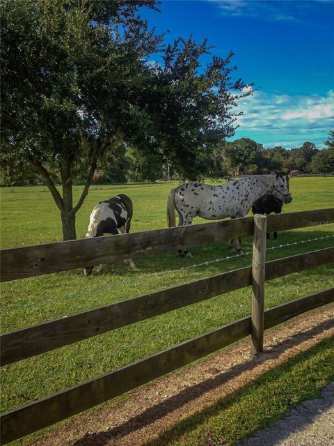 Tiny photo for 9897 NW 160 Avenue, Morriston, FL 32668 (MLS # OM727467)