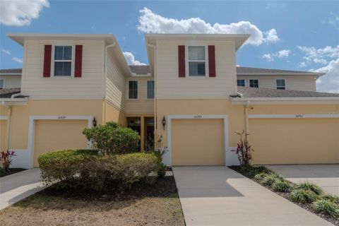 10785 VERAWOOD DRIVE RIVERVIEW FL 33579