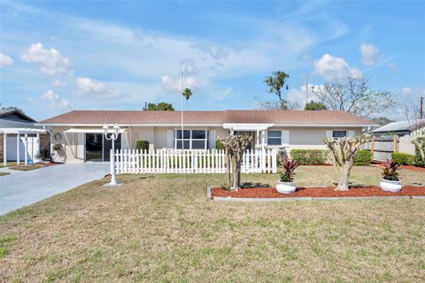 Photo of 824 Fruitland Drive, Deltona, FL 32725 (MLS # O6378804)