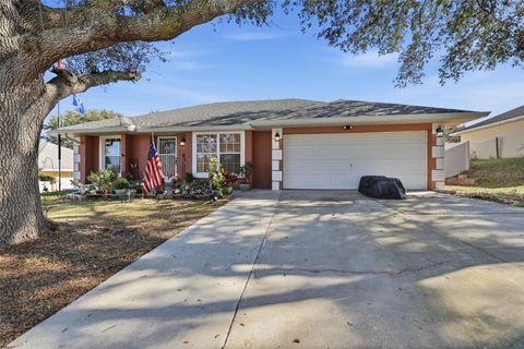 Photo of 4254 Worthington Place, Mascotte, FL 34753 (MLS # TB8457582)